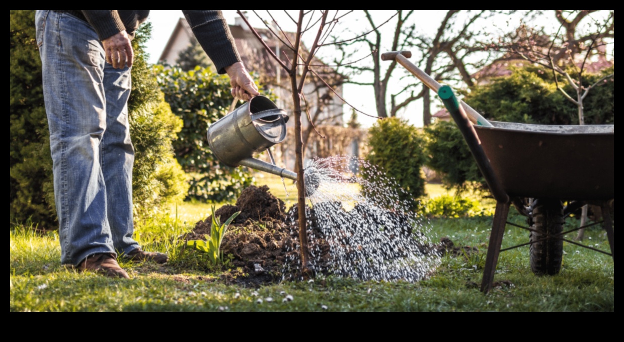 Sēj, audzē, mirdz: DIY projekti mirdzošai āra telpai