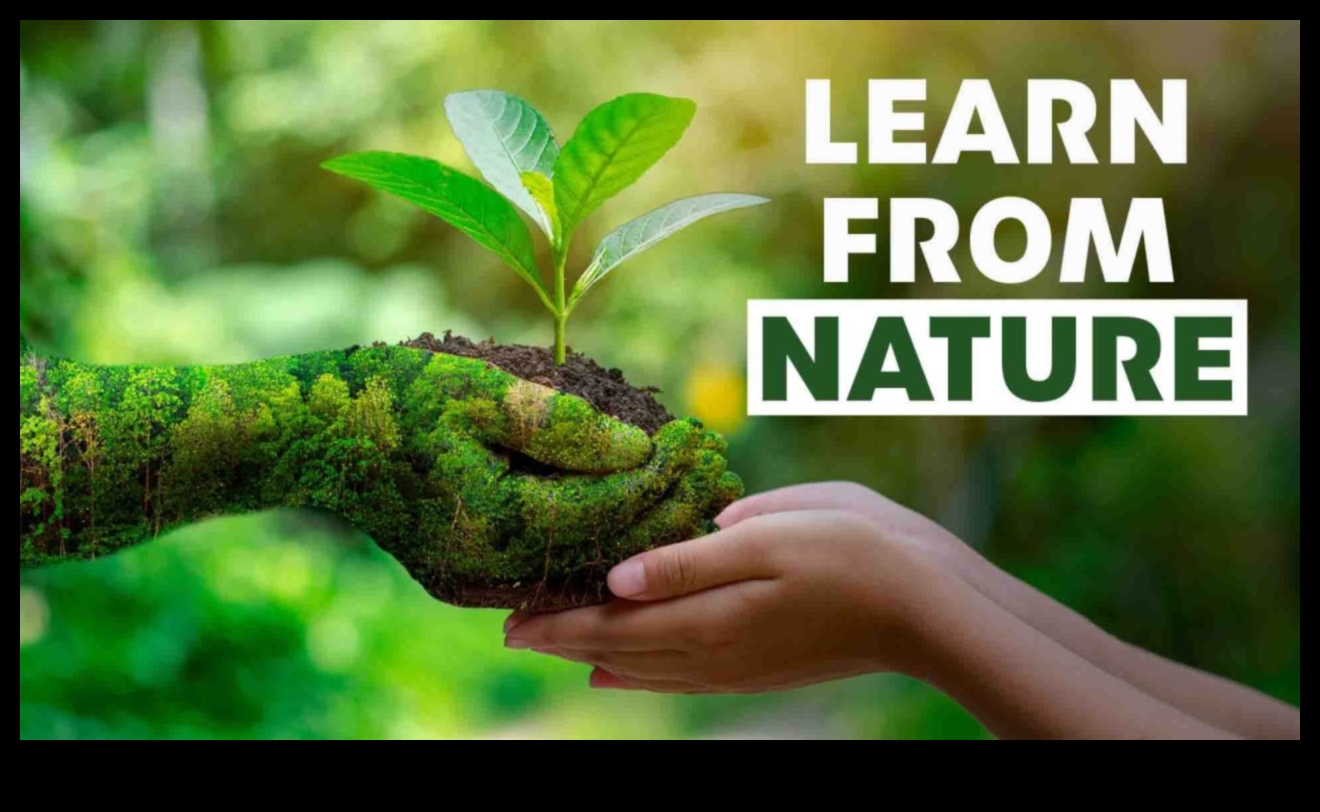 Dārza klases gudrība: izglītības noslēpumu atklāšana