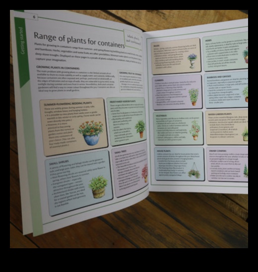 Dārza maģija: atklājiet konteineru apstādījumu noslēpumus