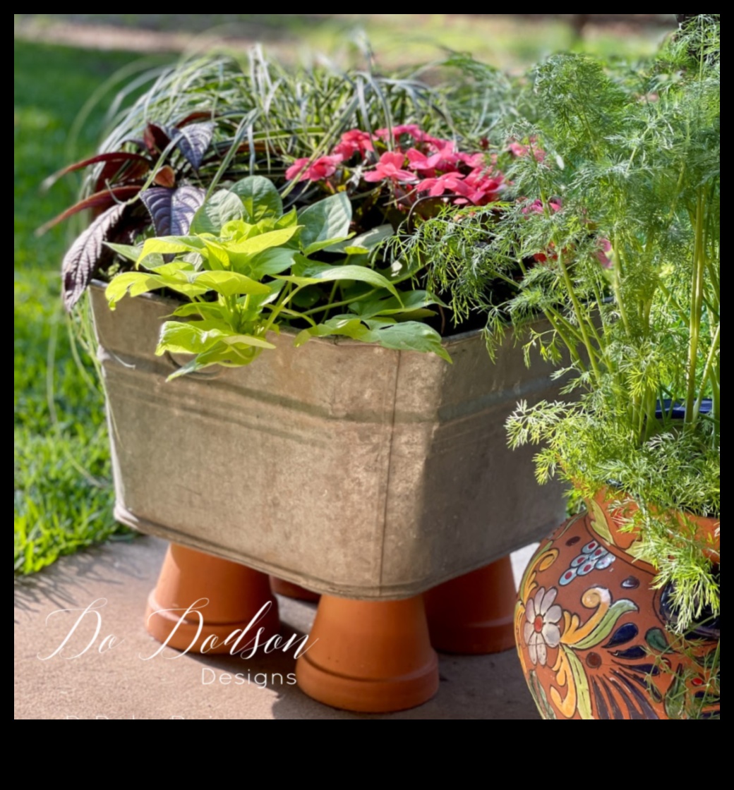 Dārza maģija: atklājiet konteineru apstādījumu noslēpumus