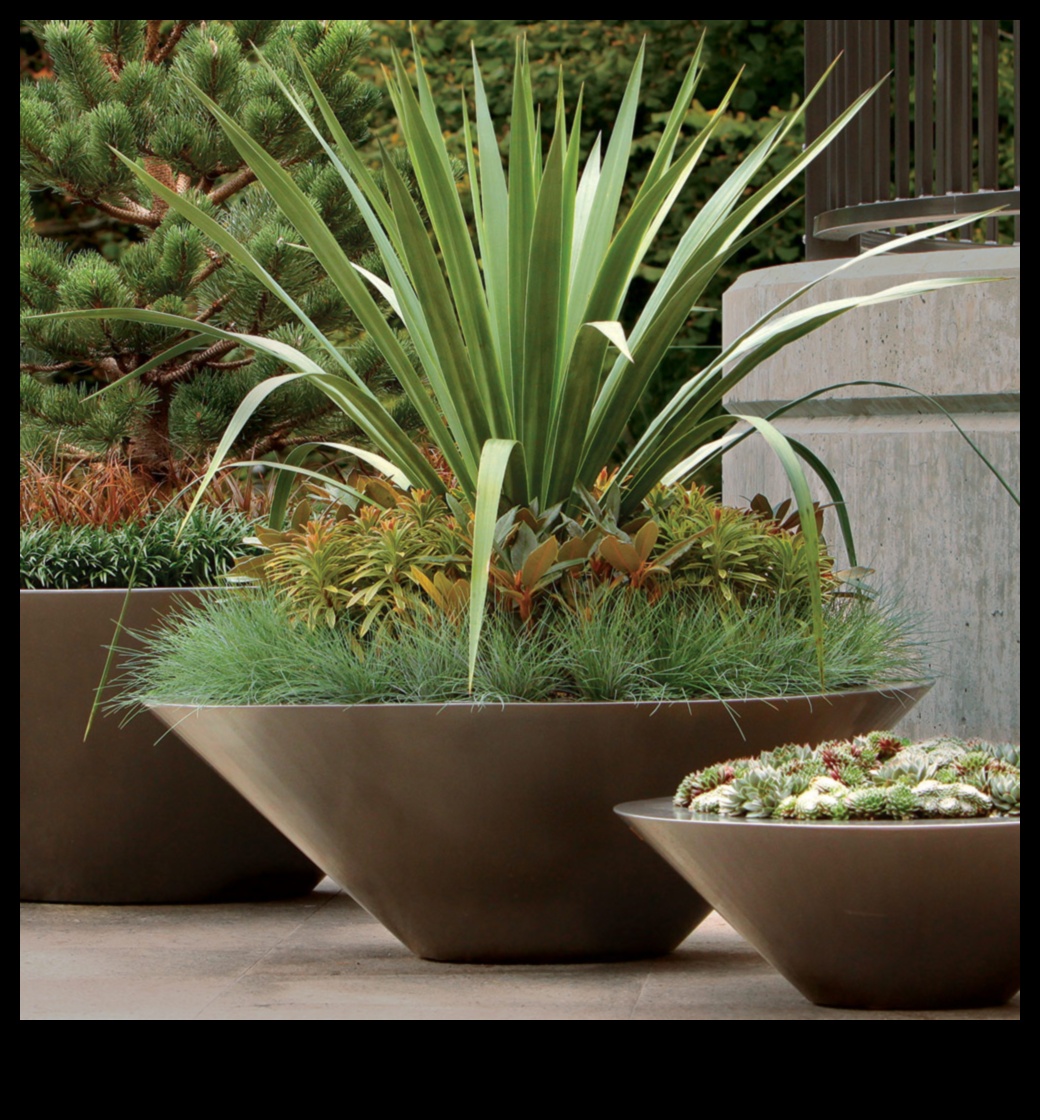 Dārza maģija: atklājiet konteineru apstādījumu noslēpumus