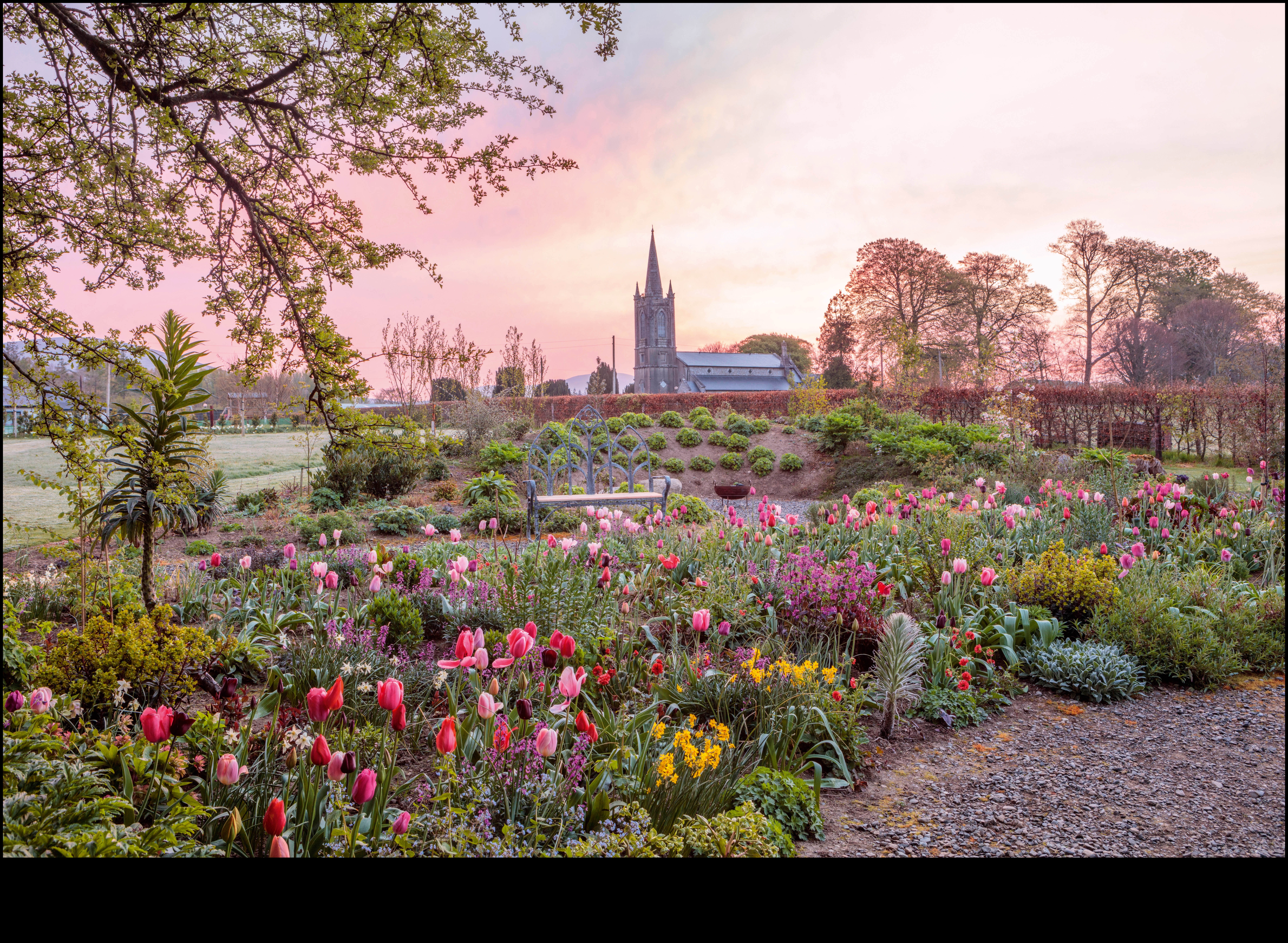 Harmony in Bloom: dārza dizaina iedvesmas atklājumi