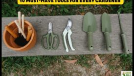 Dabas kopšana: atklāti obligātie dārza instrumenti