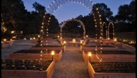 Dārza kaprīzs: paceliet savu telpu ar māksliniecisku noskaņu