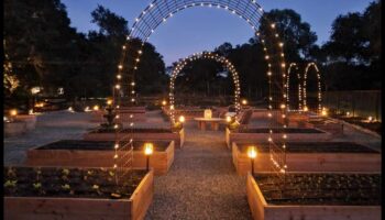 Dārza kaprīzs: paceliet savu telpu ar māksliniecisku noskaņu