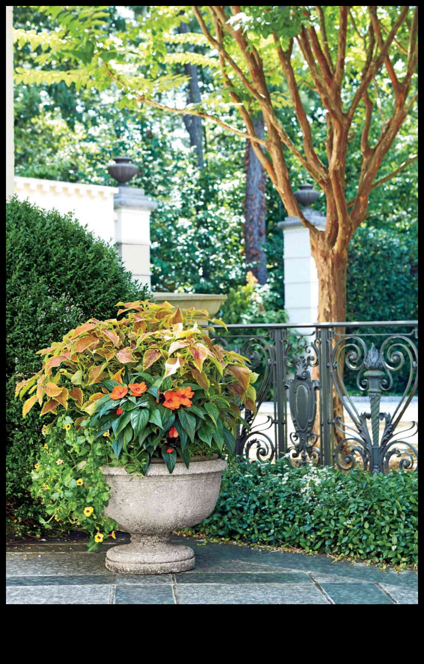 Dārza maģija: atklājiet konteineru apstādījumu noslēpumus