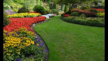 Harmony in Bloom: dārza dizaina iedvesmas atklājumi