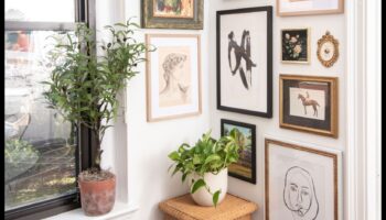 Padomi nomas telpas dekorēšanai