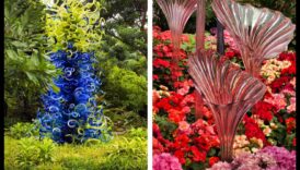 Mākslinieciski ziedi: orientēšanās āra šedevru valdzināšanā