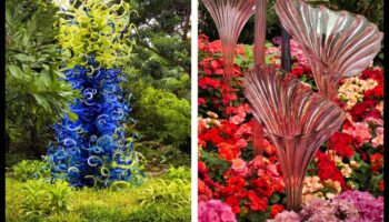 Mākslinieciski ziedi: orientēšanās āra šedevru valdzināšanā